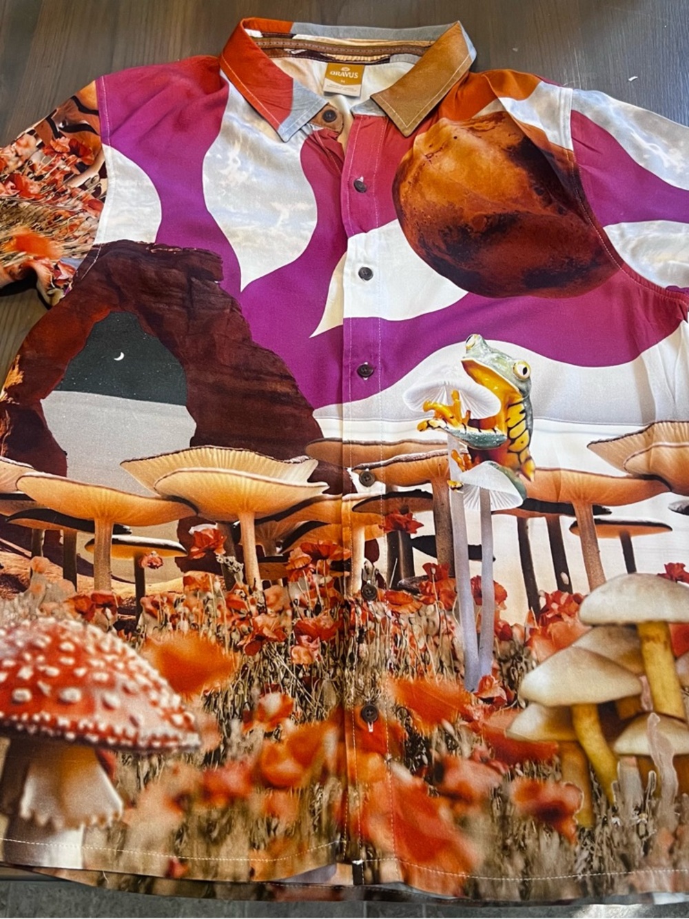 Men's Surreal Print Button-Down Shirt - Purple & Brown